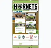 Kleine Seitenvorschau von pulheim-hornets.de
