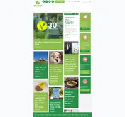 Kleine Seitenvorschau von vegan.at