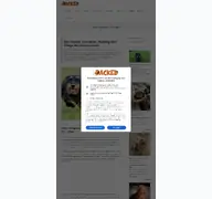 Kleine Seitenvorschau von dackel.de