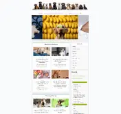 Kleine Seitenvorschau von hundestar.de