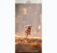 Kleine Seitenvorschau von hundetraining-ossischnauzen.de