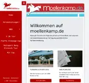 Kleine Seitenvorschau von moellenkamp.de