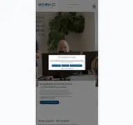 Kleine Seitenvorschau von mofino.de
