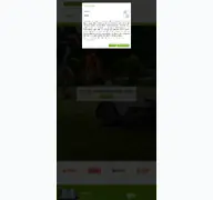 Kleine Seitenvorschau von nowack-cham.de