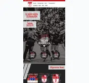 Kleine Seitenvorschau von ntzhandball.de
