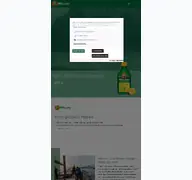 Kleine Seitenvorschau von mollers.de