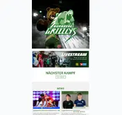 Kleine Seitenvorschau von nuernberg-grizzlys.de