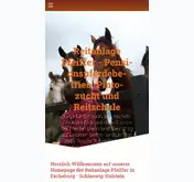 Kleine Seitenvorschau von reitanlage-pfeiffer.de