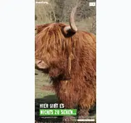 Kleine Seitenvorschau von eventurepark.de