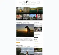 Kleine Seitenvorschau von kalteschnauze-blog.de