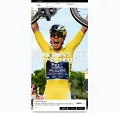 Kleine Seitenvorschau von gobik.com