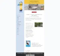Kleine Seitenvorschau von wisperforelle.de