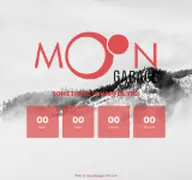 Kleine Seitenvorschau von moongarage.de