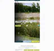 Kleine Seitenvorschau von moorfutures-sh.de