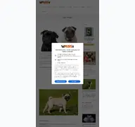 Kleine Seitenvorschau von mops.de