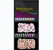Kleine Seitenvorschau von virtuelle.anatomie.uni-marburg.de