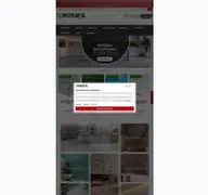Kleine Seitenvorschau von mosafil.ch