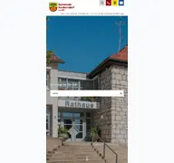 Kleine Seitenvorschau von seubersdorf.de
