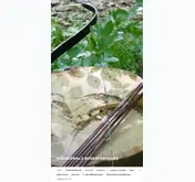 Kleine Seitenvorschau von steigerwald-bogenparcours.de