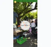 Kleine Seitenvorschau von familienflohmarkt-koeln.de
