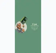 Kleine Seitenvorschau von cosi-regensburg.de