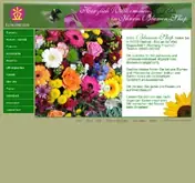 Kleine Seitenvorschau von blumen-weilrod.de