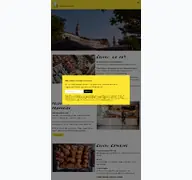 Kleine Seitenvorschau von coucou-food.de
