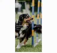 Kleine Seitenvorschau von hundeschule-holt.de
