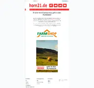 Kleine Seitenvorschau von horn21.de