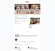 Kleine Seitenvorschau von mozers-spirit.de