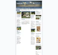 Kleine Seitenvorschau von infohund.de