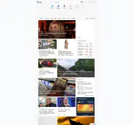 Kleine Seitenvorschau von msn.com