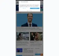 Kleine Seitenvorschau von consulting.de