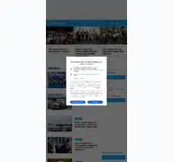 Kleine Seitenvorschau von brooklynpaper.com