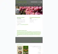 Kleine Seitenvorschau von grober-feetz.de