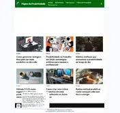 Kleine Seitenvorschau von paginadariqueza.com