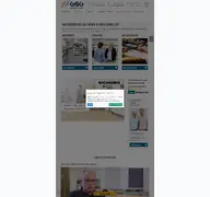 Kleine Seitenvorschau von gsg-farben.de