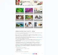 Kleine Seitenvorschau von ms-verlag.de
