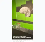 Kleine Seitenvorschau von zabo-praxis.de