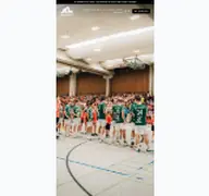 Kleine Seitenvorschau von mtg-handball.de