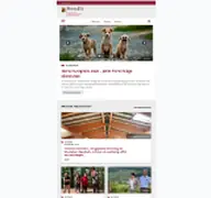 Kleine Seitenvorschau von mueef.rlp.de