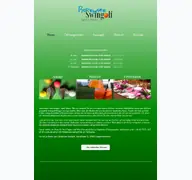 Kleine Seitenvorschau von swingolf-online.de