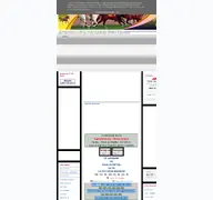 Kleine Seitenvorschau von turfmagique.com