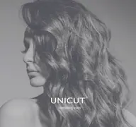 Kleine Seitenvorschau von unicut-berlin.de