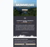 Kleine Seitenvorschau von mummelsee.de