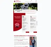 Kleine Seitenvorschau von mundelsheim.de