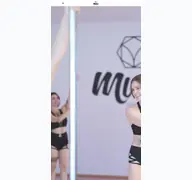 Kleine Seitenvorschau von musepoledance.de