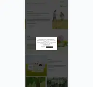 Kleine Seitenvorschau von homviora.de
