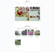 Kleine Seitenvorschau von nordischer-shop.at