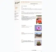 Kleine Seitenvorschau von kakteensammlung-holzheu.de
